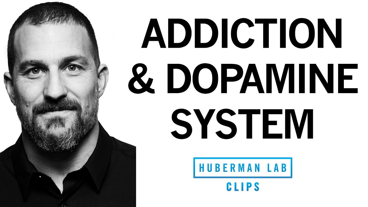 Addiction Explained, Rises & Falls in Dopamine | Dr. Andrew Huberman