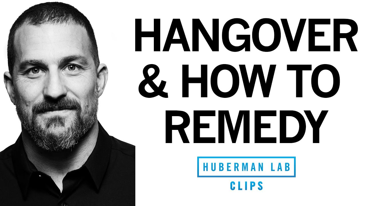 Alcohol, Hangovers & How to Cure a Hangover Based on Science | Dr. Andrew Huberman