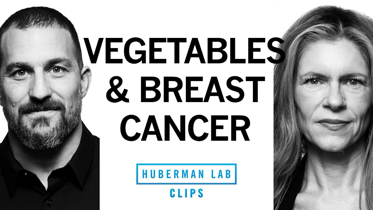Breast Cancer & the Importance of Vegetables | Dr. Sara Gottfried & Dr. Andrew Huberman