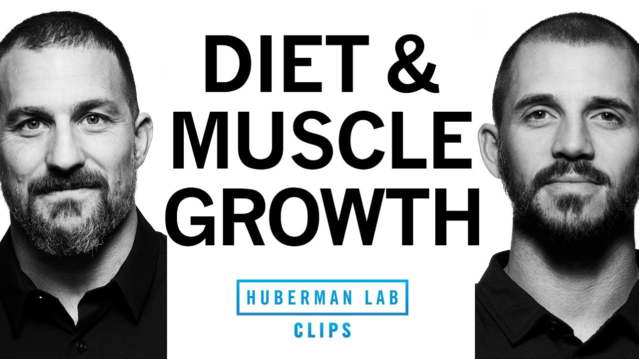 Diet & Supplementation for Muscle Growth | Dr. Andy Galpin & Dr. Andrew Huberman
