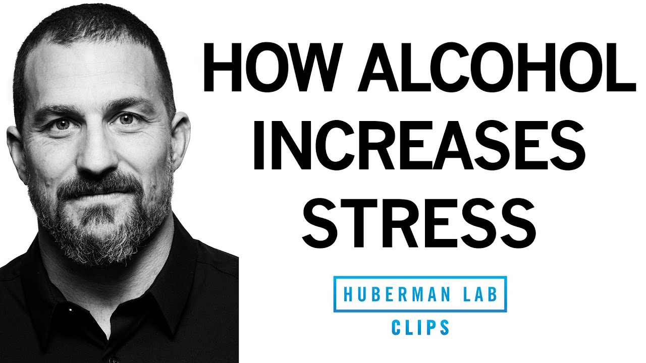 How Alcohol Actually Increases Stress Levels, Rather Than Relaxing You | Dr. Andrew Huberman