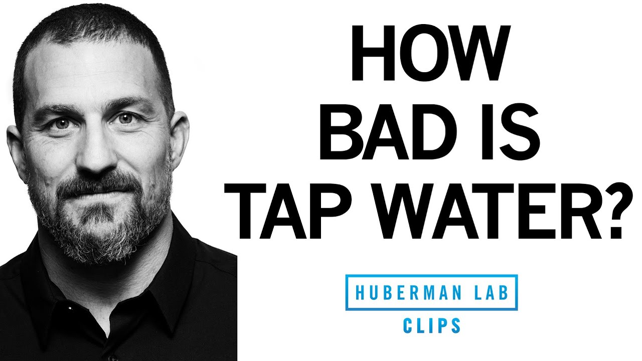 How Bad Is Tap Water for Health? | Dr. Andrew Huberman