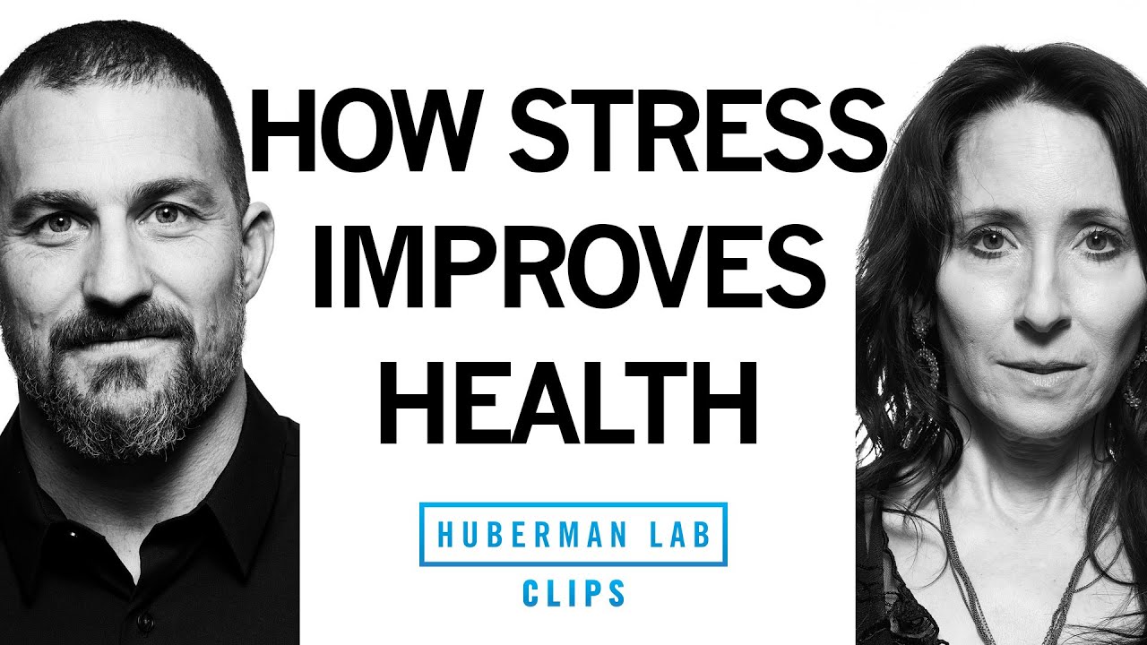 How Some Stress Can Actually Improve Health | Dr. Elissa Epel & Dr. Andrew Huberman