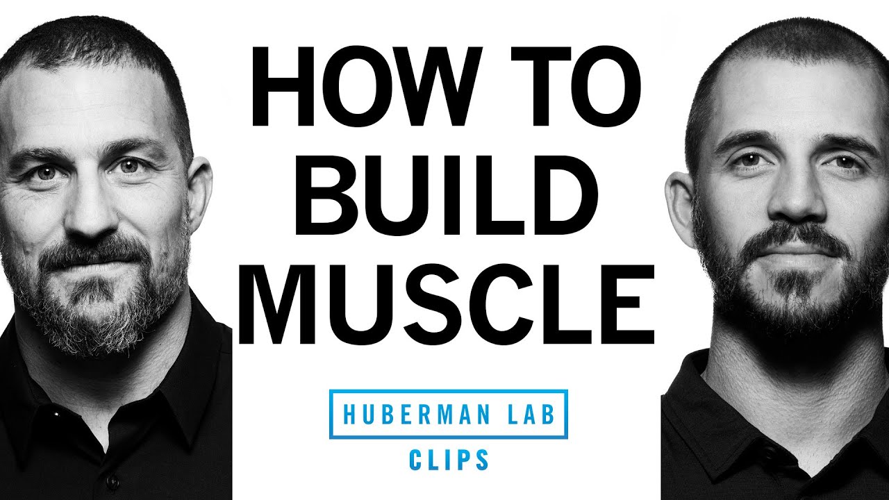How to Build Muscle | Dr. Andy Galpin & Dr. Andrew Huberman