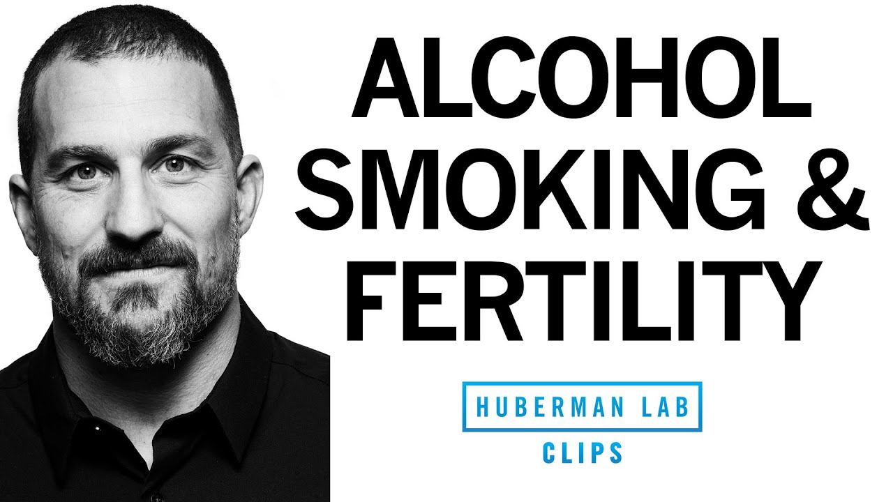 Impact of Drinking Alcohol & Smoking Nicotine & Marijuana on Fertility | Dr. Andrew Huberman