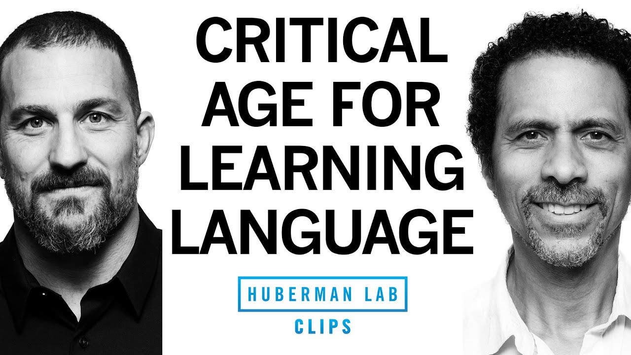Is There a Critical Age or Period for Learning Languages? | Dr. Erich Jarvis & Dr. Andrew Huberman
