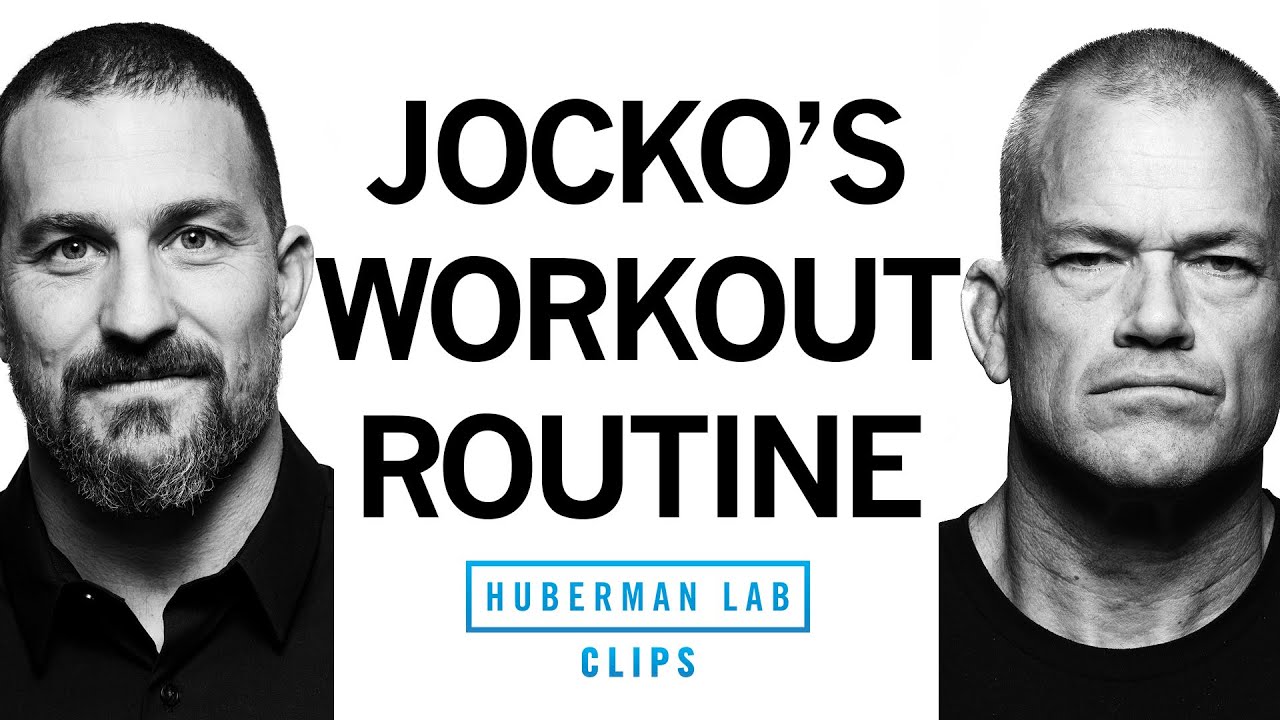 Jocko's Workout Routine | Jocko Willink & Dr. Andrew Huberman