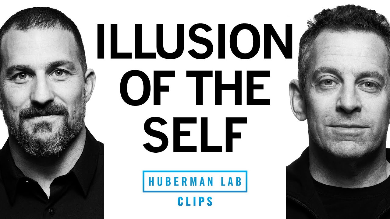 Meditation & Searching for The Self | Dr. Sam Harris & Dr. Andrew Huberman