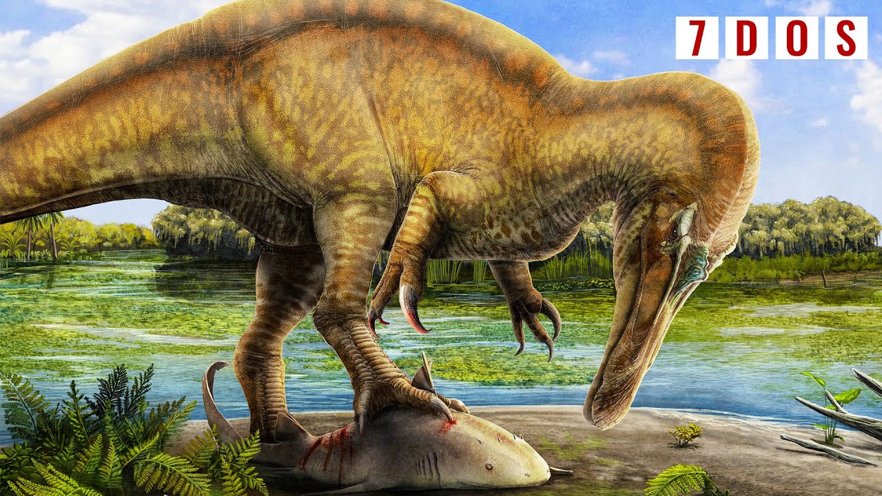 New Spinosaur Species Uncovered In Spain  | 7 Days of Science