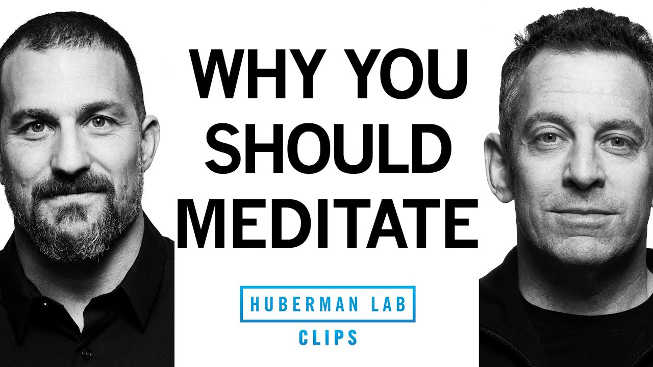 The True Purpose of Meditation | Dr. Sam Harris & Dr. Andrew Huberman