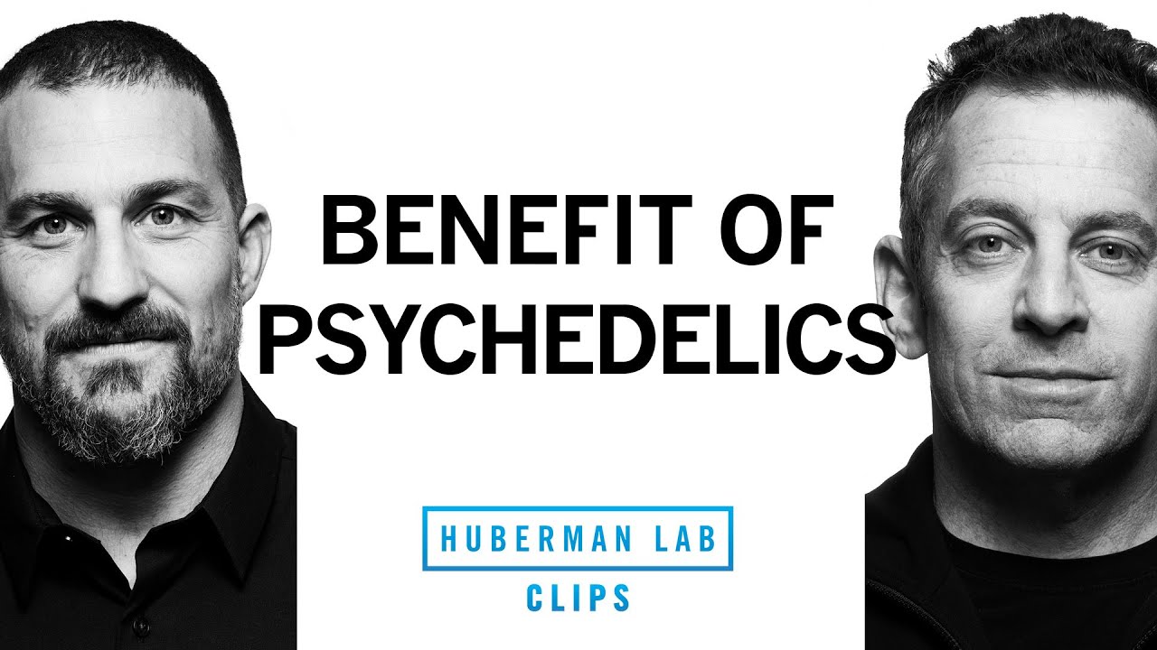 The Utility of Psychedelics | Dr. Sam Harris & Dr. Andrew Huberman