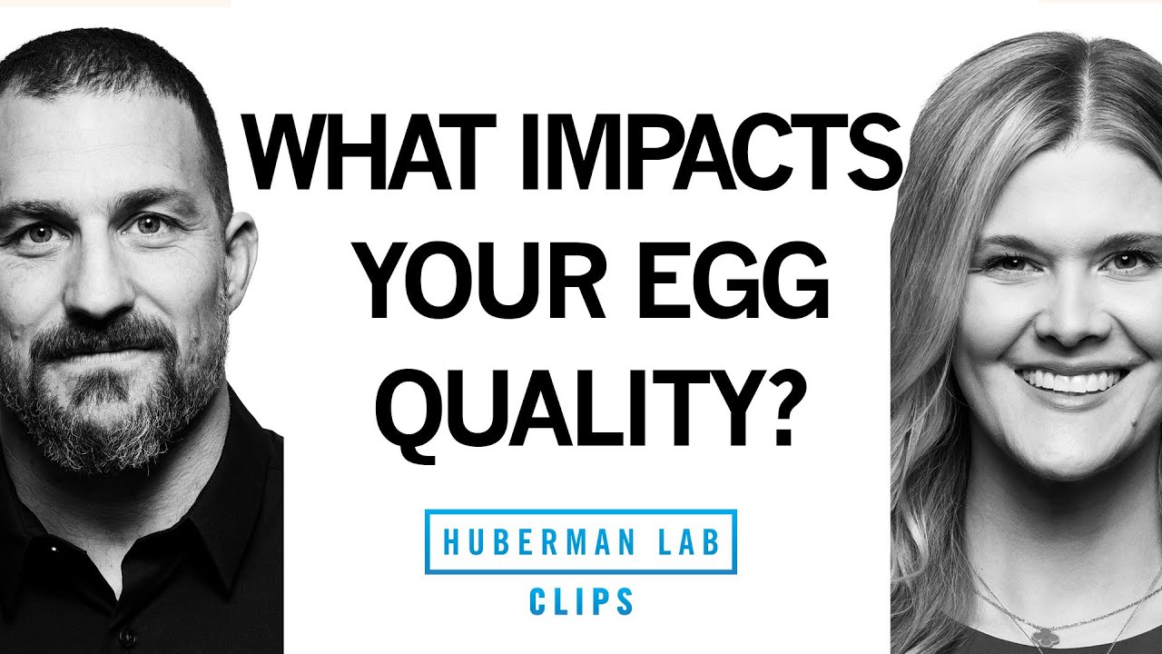 What Determines Egg Quality With Female Fertility? | Dr. Natalie Crawford & Dr. Andrew Huberman