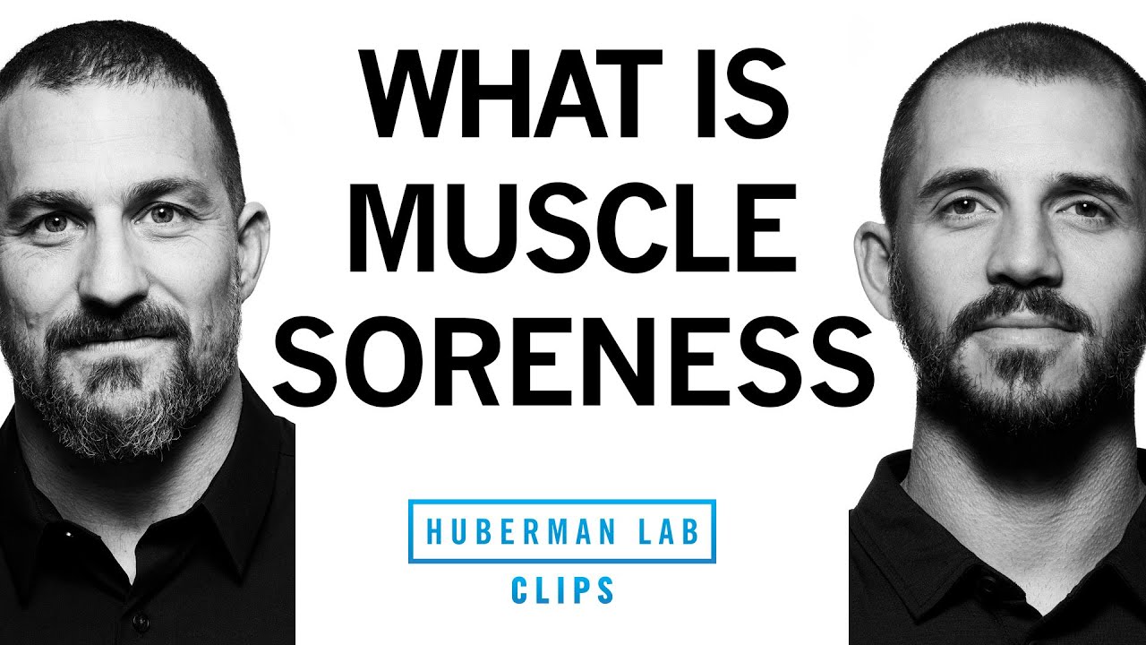 What Is Muscle Soreness? It Isn't Muscle Tears... | Dr. Andy Galpin & Dr. Andrew Huberman