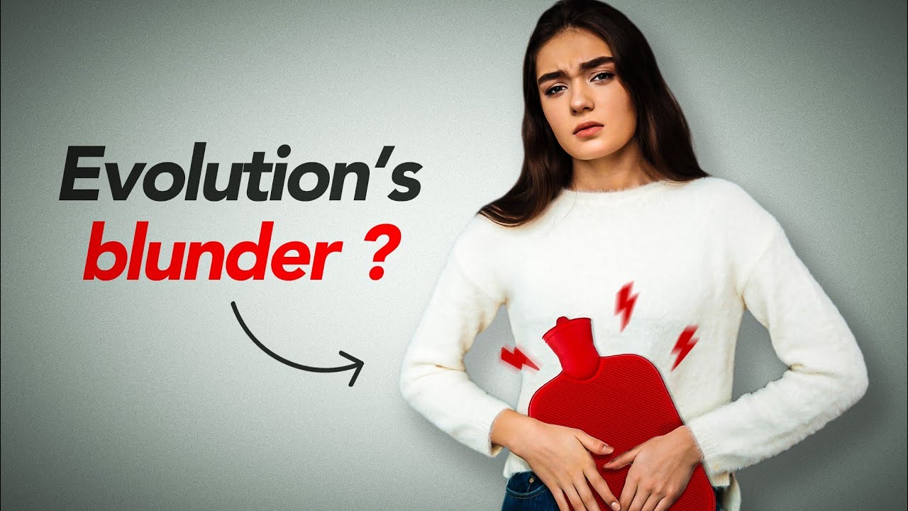 Why do humans have periods so often- did evolution make a mistake?