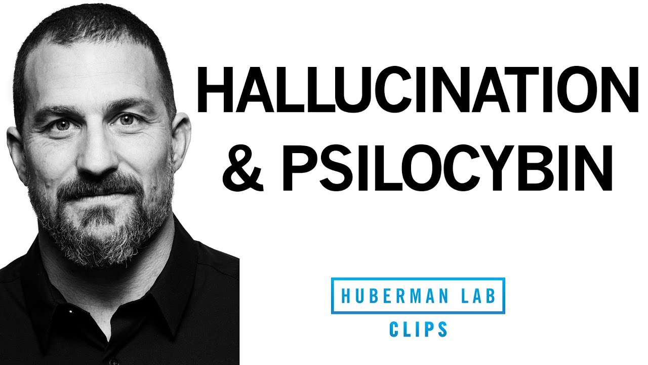 Why Psilocybin (Magic Mushrooms) Causes Visual Hallucinations | Dr. Andrew Huberman